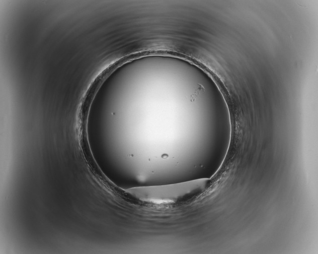 X0000093731119200710161112