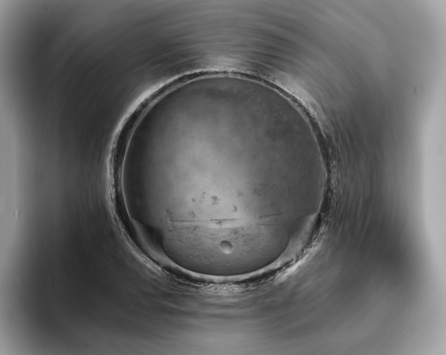 X0000093731120200710161112