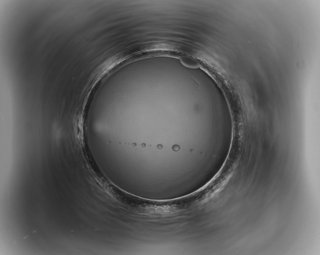 X0000093731121200710161112