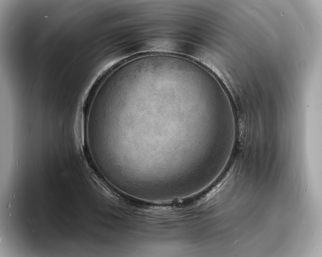 X0000093731123200710161112