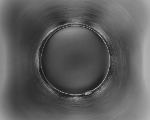 X0000093731127200710161112