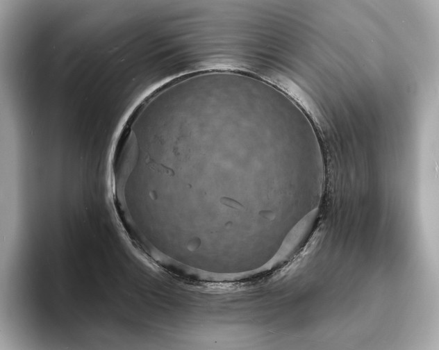 X0000093731132200710161112