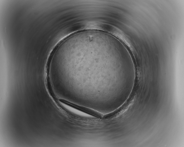 X0000093731133200710161112