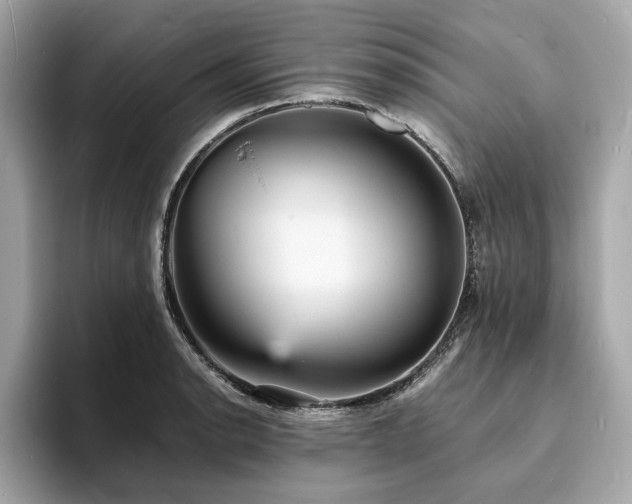 X0000093731134200710161112