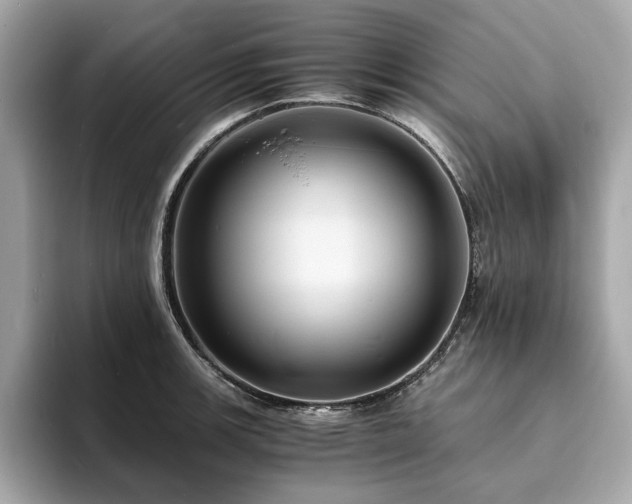 X0000093731139200710161112