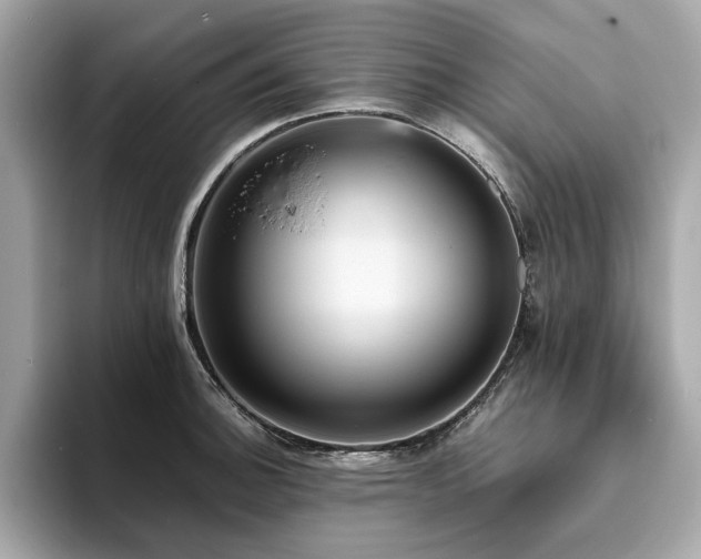 X0000093731140200710161112