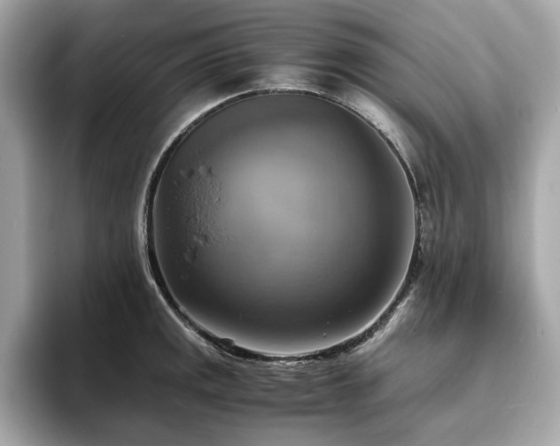 X0000093731141200710161112