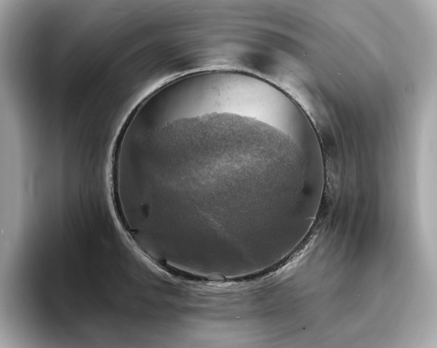 X0000093731142200710161112