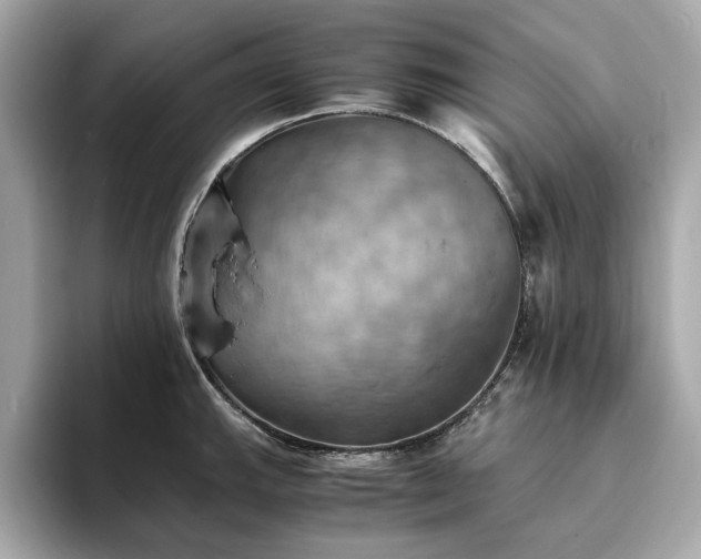 X0000093731143200710161112