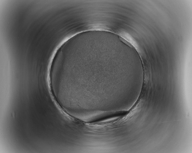 X0000093731144200710161112