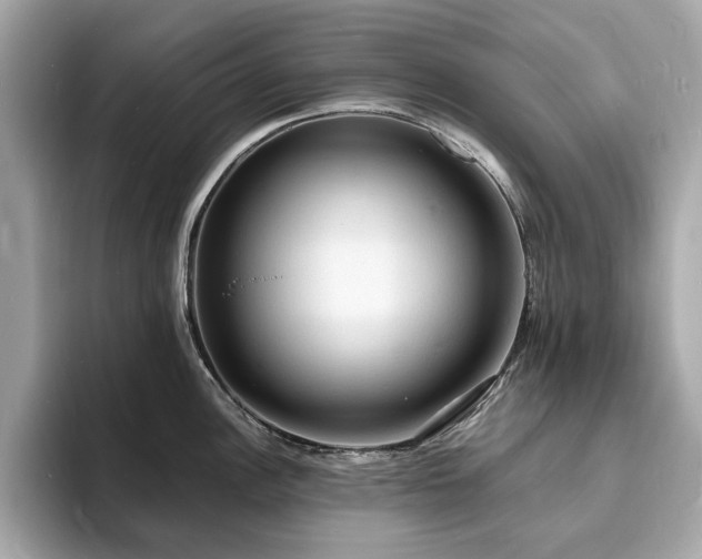 X0000093731148200710161112