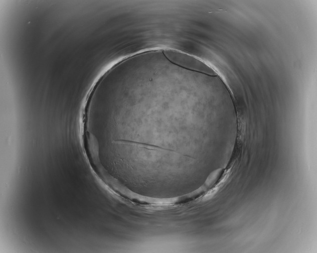 X0000093731151200710161112