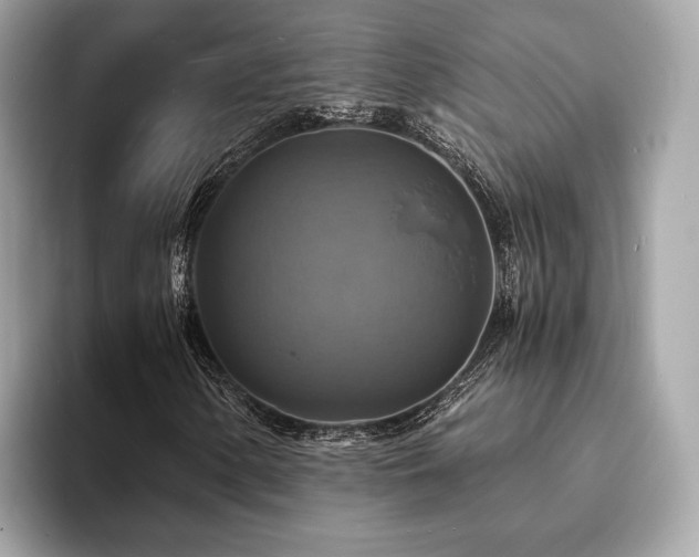 X0000093731154200710161111