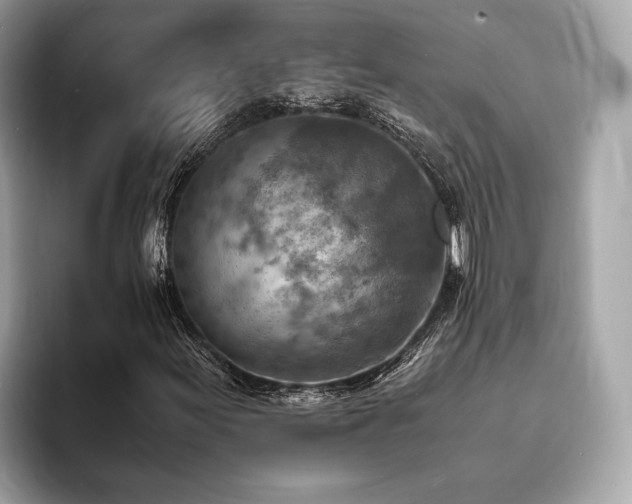 X0000093731155200710161111