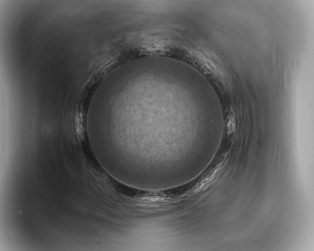 X0000093731156200710161111