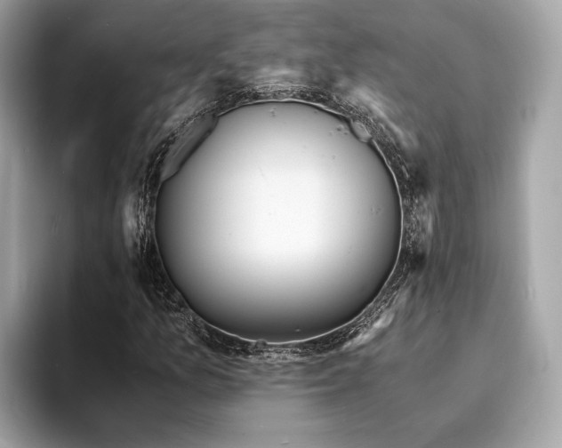 X0000093731157200710161111