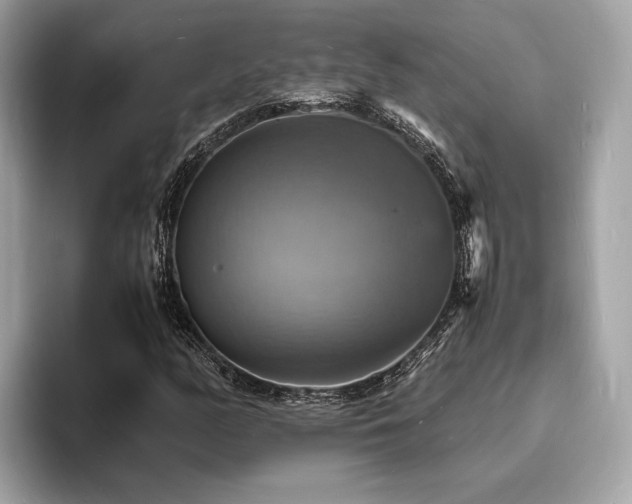 X0000093731158200710161111