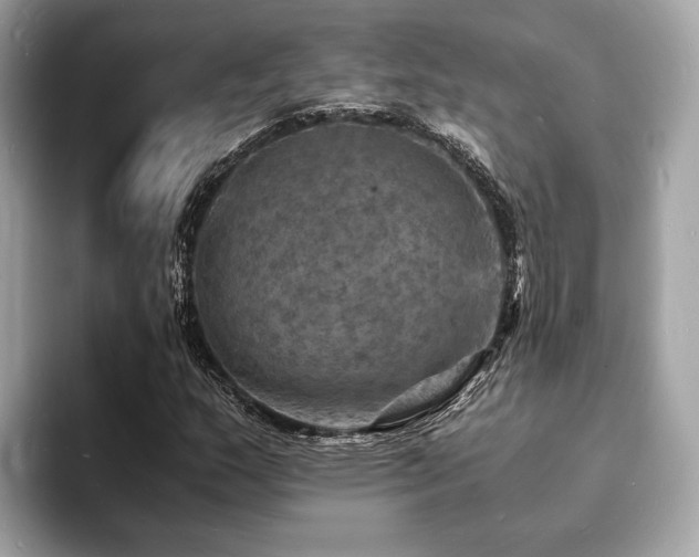 X0000093731159200710161111