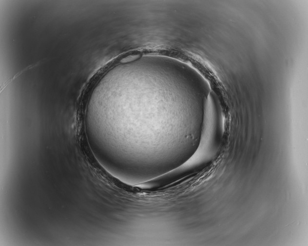 X0000093731160200710161111