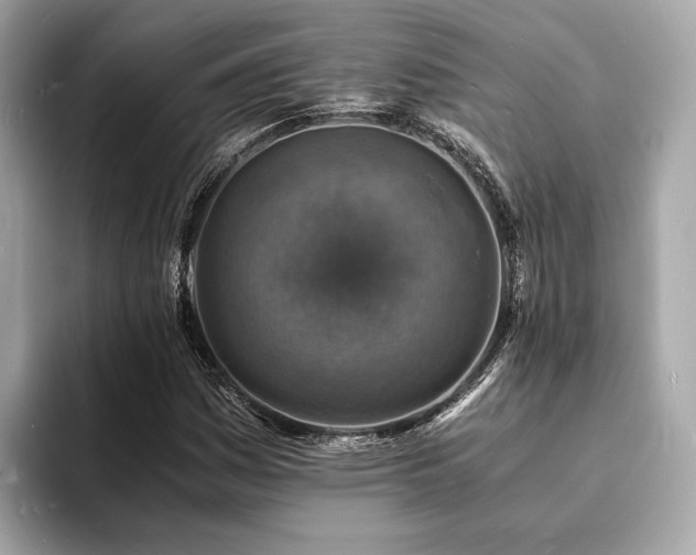 X0000093731161200710161111