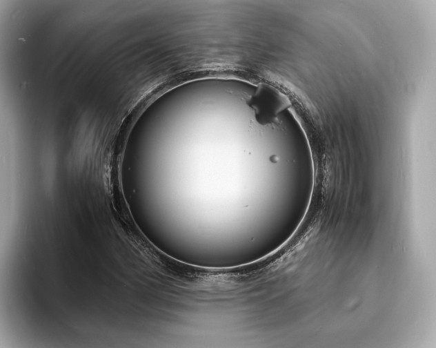 X0000093731162200710161111