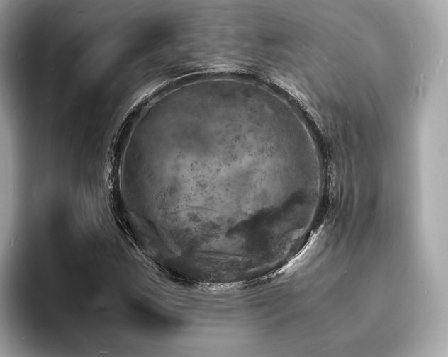 X0000093731163200710161111