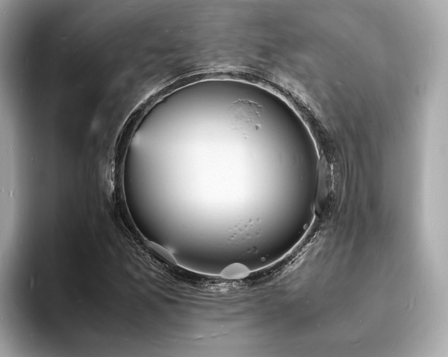 X0000093731165200710161111