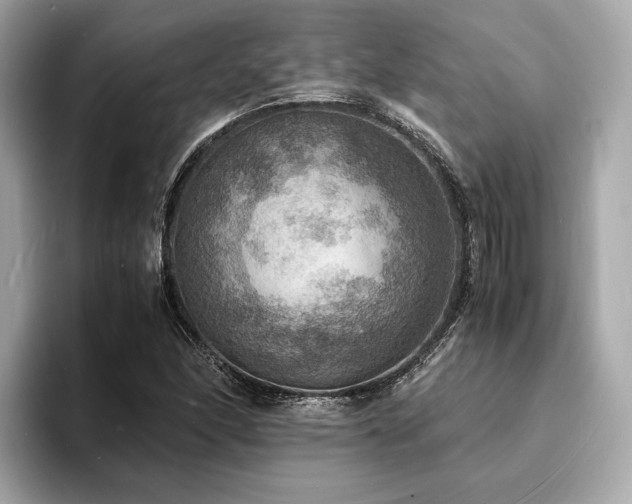 X0000093731166200710161111