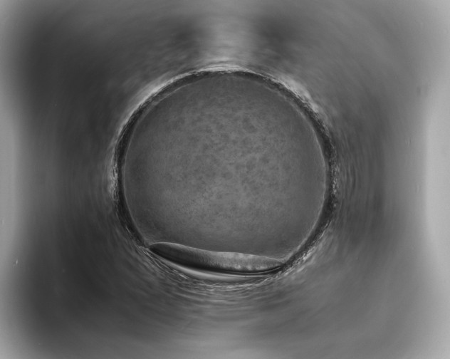 X0000093731167200710161111