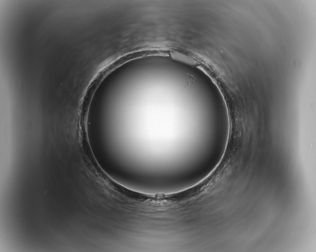 X0000093731168200710161111