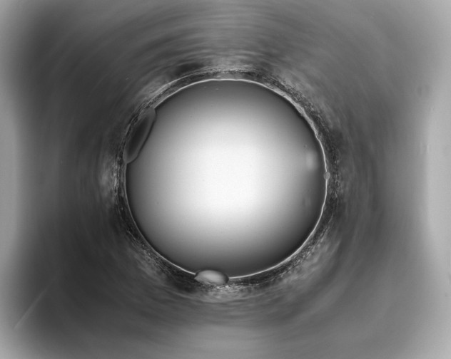 X0000093731169200710161111