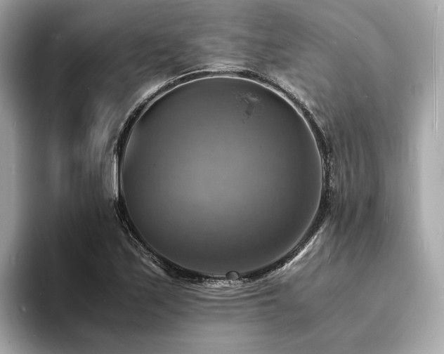 X0000093731171200710161111
