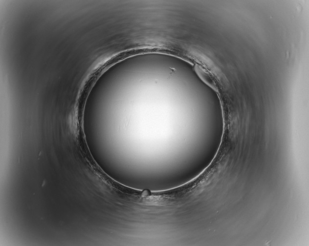 X0000093731172200710161111