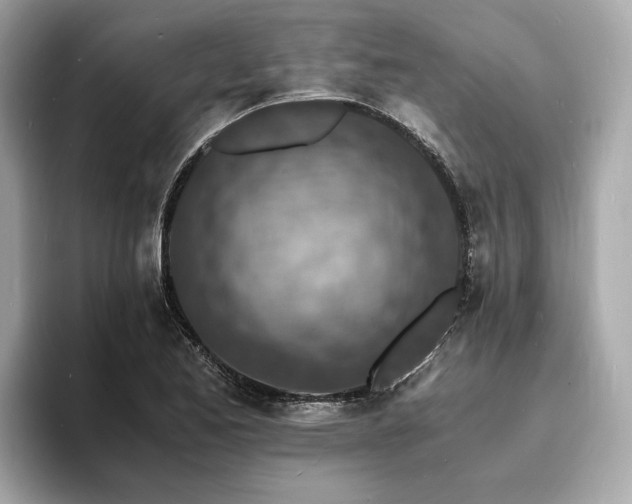 X0000093731173200710161111