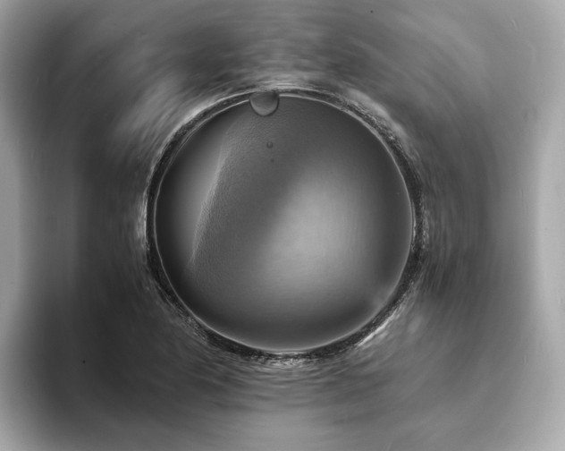X0000093731174200710161111