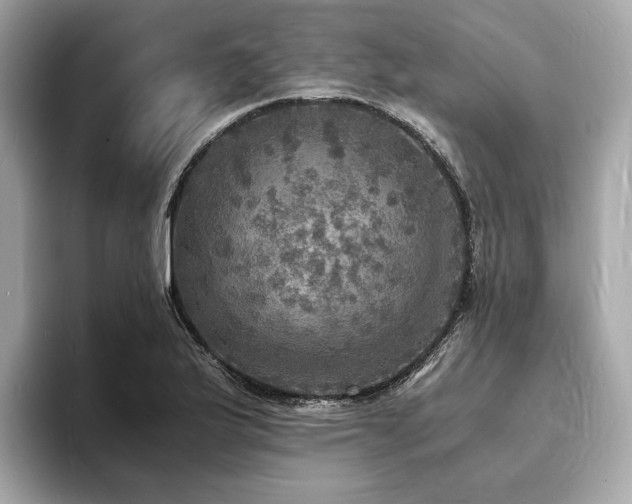 X0000093731175200710161111