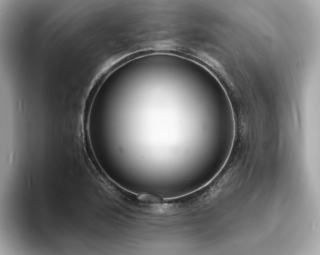 X0000093731176200710161111