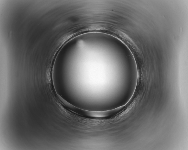 X0000093731177200710161111