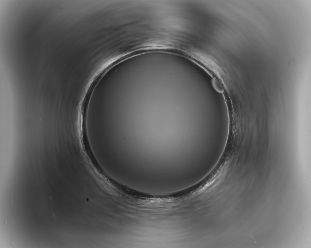X0000093731179200710161111