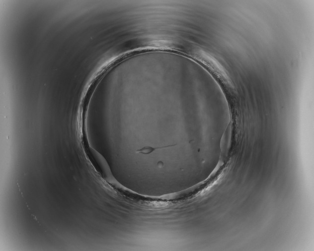 X0000093731180200710161111