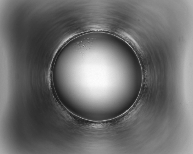 X0000093731182200710161111