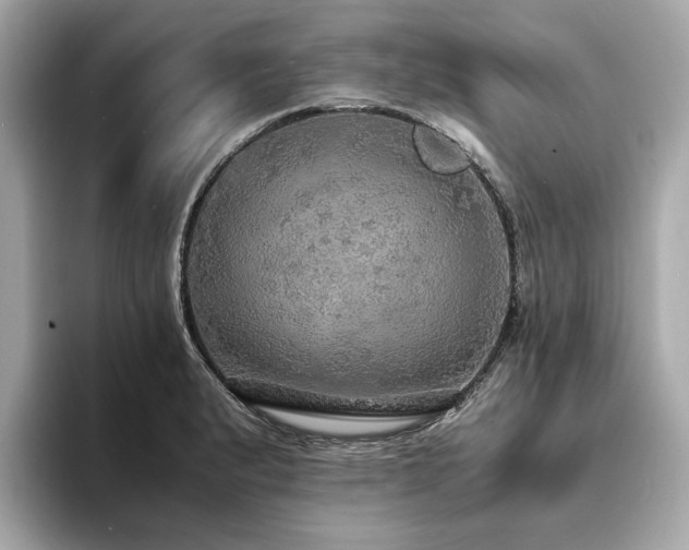 X0000093731183200710161111