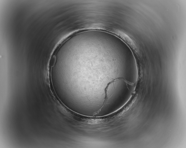 X0000093731184200710161111