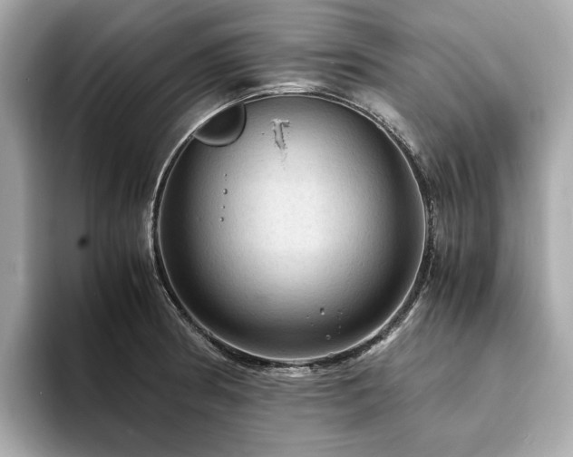 X0000093731186200710161111
