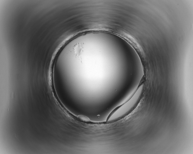 X0000093731188200710161111