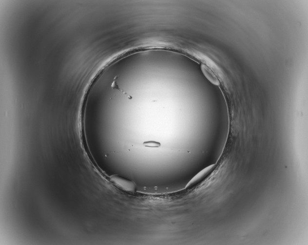 X0000093731191200710161111
