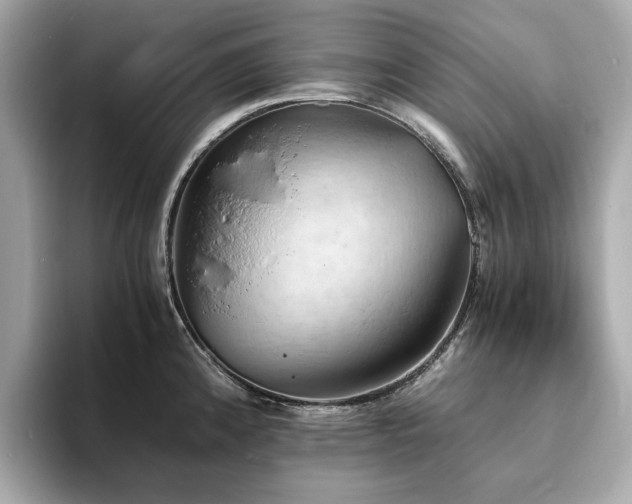 X0000093731192200710161111