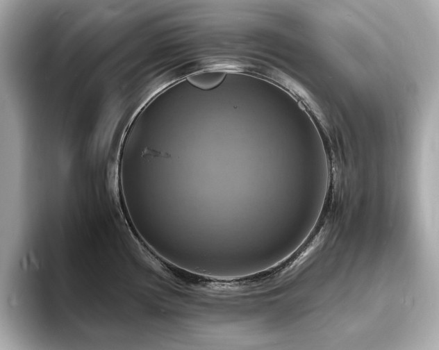 X0000093731194200710161111