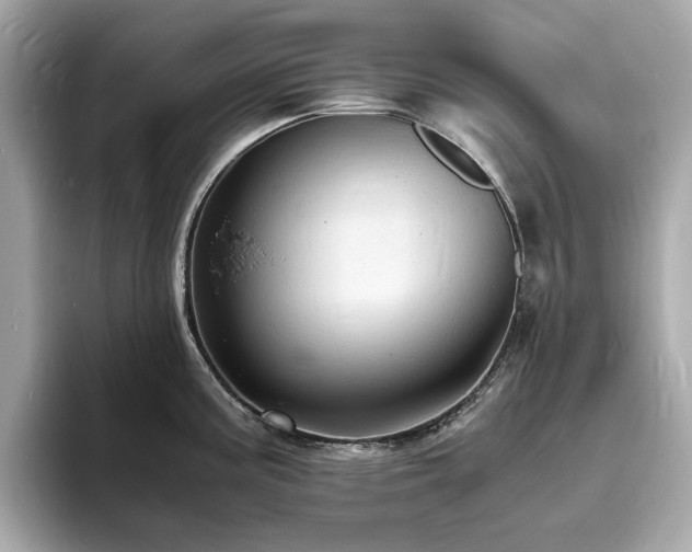 X0000093731195200710161111