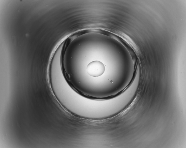 X0000093731196200710161111